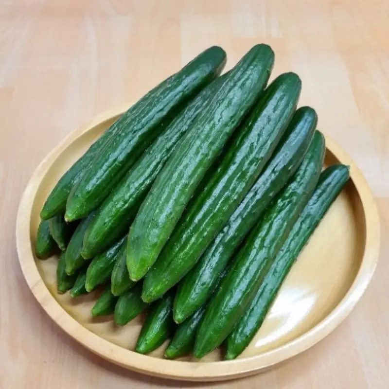 No.2973 JGAP農家の採れたて新鮮きゅうり　約2kg 秀級品