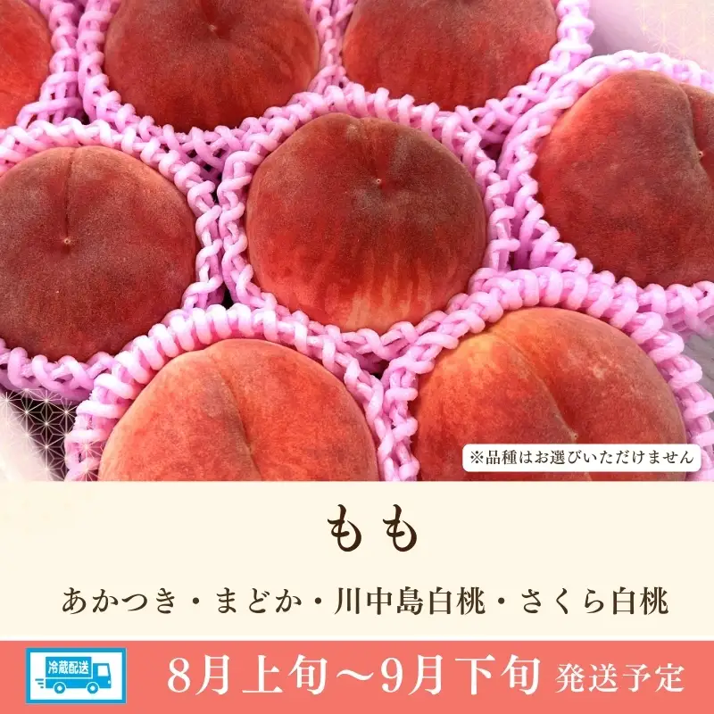 No.3061 道の駅ふくしま 福島市産もも　約3kg（9玉～12玉）【2026年発送】
