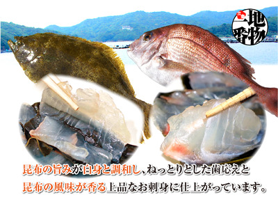 1745　昆布〆セット[真鯛・ひらめ] 昆布〆 真鯛 ひらめ おつまみ おかず 酒の肴 海の幸 魚介 昆布締め 刺身 こんぶじめ 三重県 伊勢市 伊勢志摩