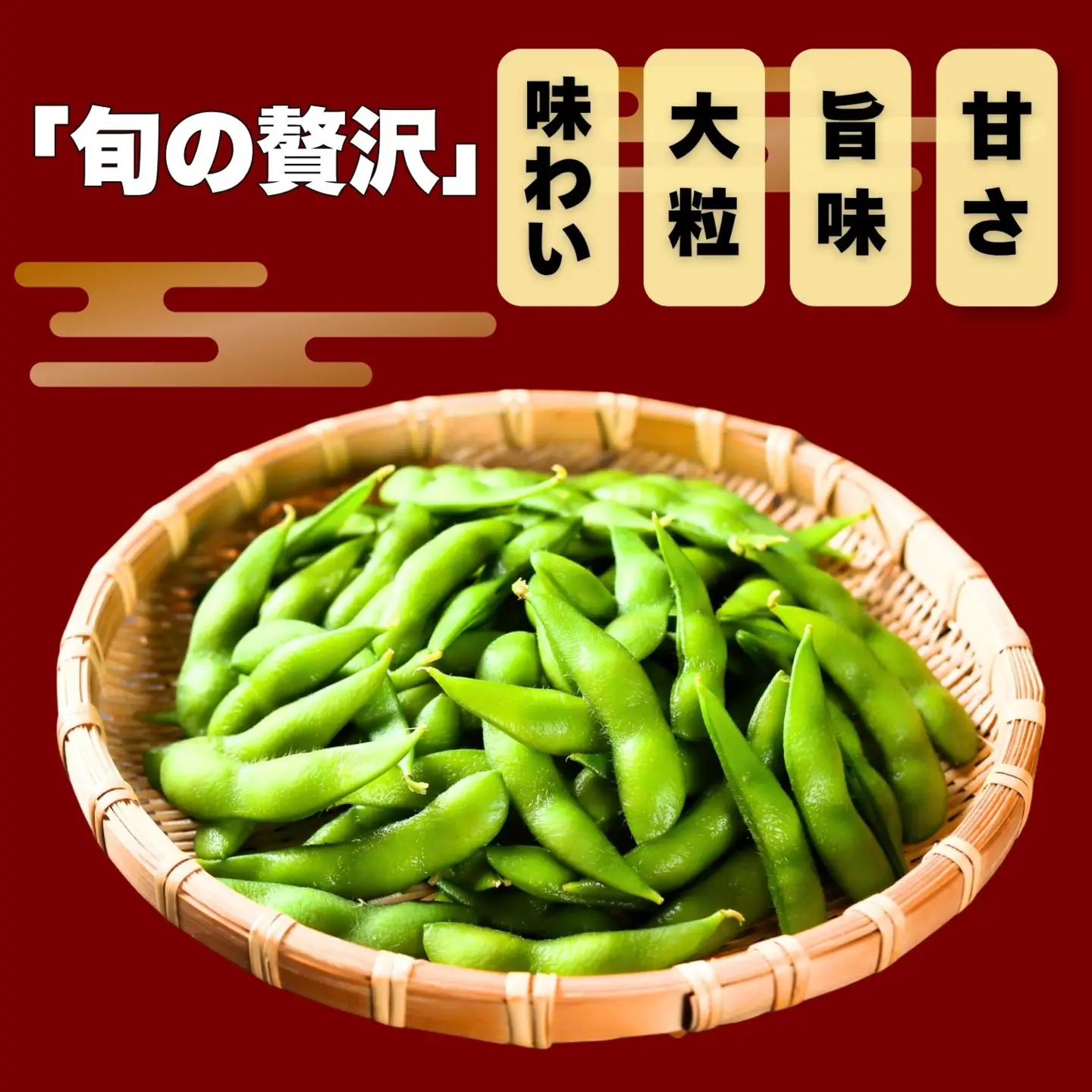 【先行予約】枝豆「雪音（ゆきね）」2.5kg (250g × 10袋）《2026年8月下旬より発送予定》信州飯山 木島産(Cg-001)