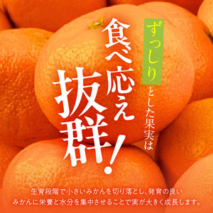 MK1033_【2026年先行予約】みかん 大玉 どっこいしょ 箱込 5kg ( 内容量 4.4kg ) 2Lサイズ以上 秀品 優品 混合 有田みかん 和歌山県産 産地直送 【みかんの会】