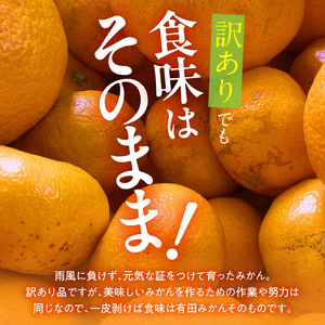 MK1049_【2026年先行予約】訳あり それでも みかん 箱込 7.5kg ( 内容量 6.8kg ) サイズミックス Ｂ品 有田みかん 和歌山県産 産地直送 家庭用【みかんの会】