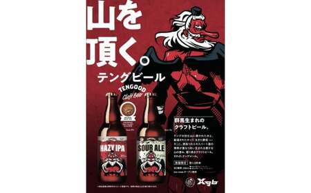 クラフトビール テングビール HAZY IPA 6本セット