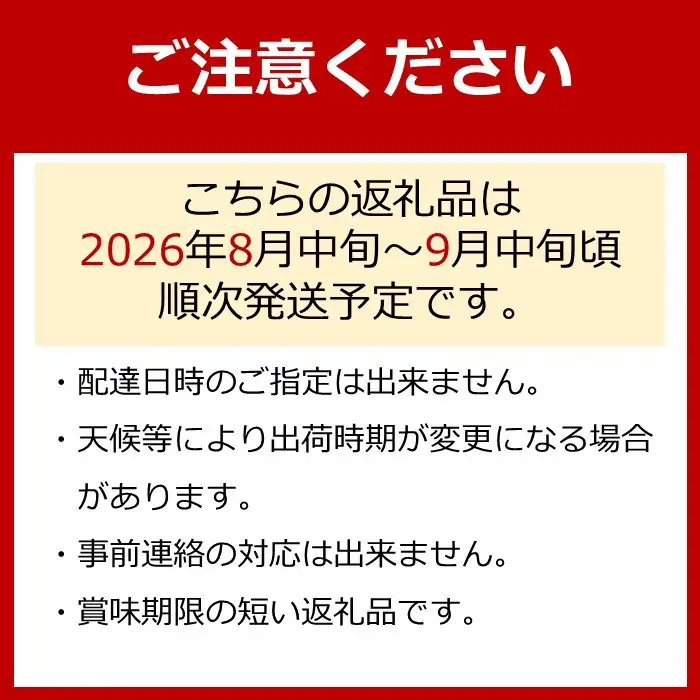 【先行予約】朝採り 巨峰 約1kg (2～3房) 有田巨峰村 大南農園　| ぶどう 巨峰 ぶどう【2026年8月中旬頃より順次発送】