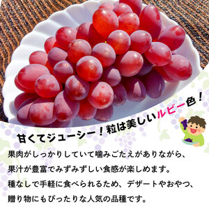 ぶどう サニールージュ 2kg ぶどう