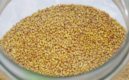 信濃霧山ダッタンそばセット　A-2 蕎麦 乾麺 