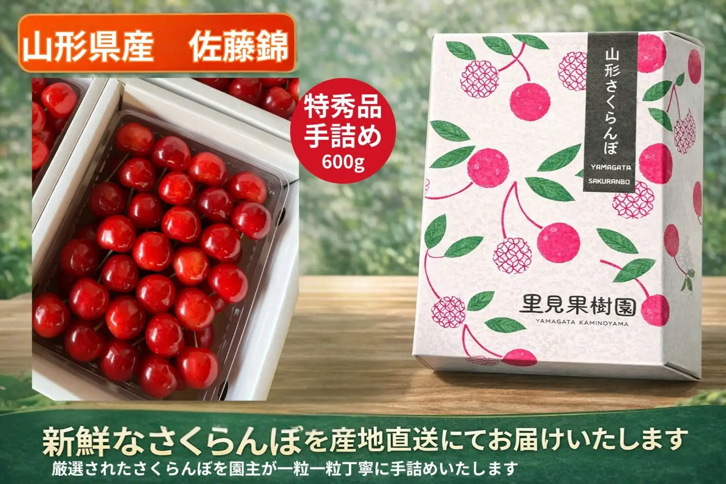 さくらんぼ（佐藤錦）６００ｇ　特秀品　手詰め　0079-2604