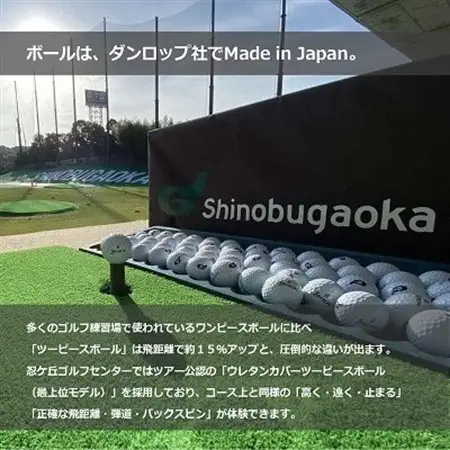 ゴルフ練習場 忍ケ丘ゴルフセンター ICカードチャージ利用券 10,000円分(約1,200球)【1097439】