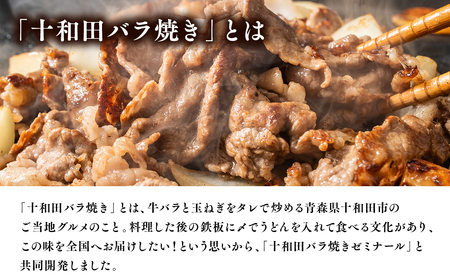 【レビューキャンペーン】十和田バラ焼きうどん 10食[hi-0012-030]