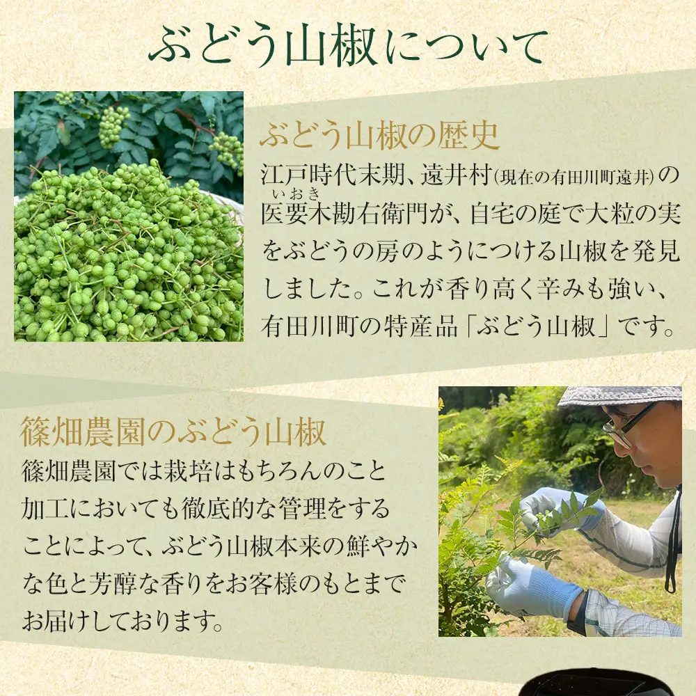 後がけ山薫るスパイス1本  (48g) 篠畑農園