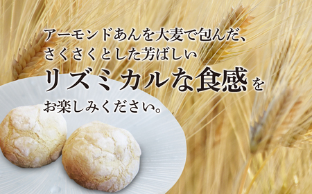 波の音（なみのおと）12個入り / 和菓子 