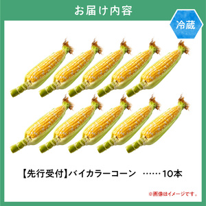 【2026年先行予約】照之家商店 鮮度抜群 とうもろこし「黄色と白粒のバイカラーコーン」10本 とうきび 北海道
