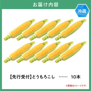 【2026年先行予約】照之家商店 鮮度抜群とうもろこし10本