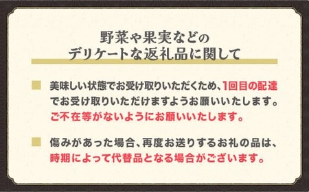 先行予約 梨 幸水 豊水 秀品 約3kg (6～12個程度) 令和8年産 sb-nahkx3