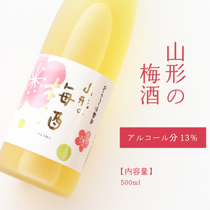 【焼酎・梅酒 飲み比べセット】山形の本格米焼酎（つや姫）720ml と 山形の梅酒 500ml 飲み比べセット　0170-E-FR040