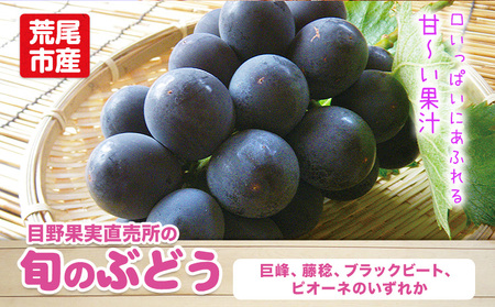 ぶどう 約 600g ～700g《8月上旬-9月上旬頃出荷》 旬の品種 ( 巨峰 or 藤稔 or ブラックビート or ピオーネ ) 目野果実直売所 フルーツ 果物 新鮮