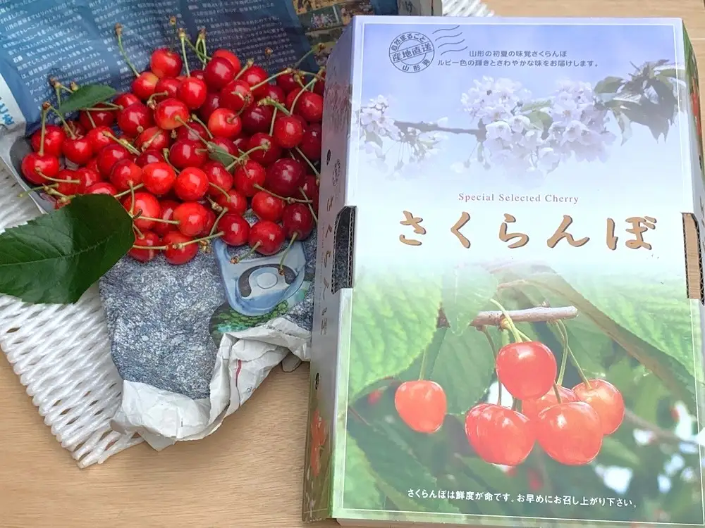 さくらんぼ（紅秀峰）４００ｇ×２パック　２Ｌ　並び詰め　0049-2605
