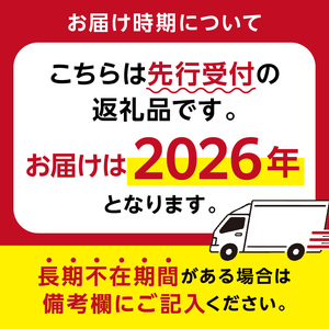 【先行受付 2026年5月中旬～6月下旬発送予定】房州びわ 2Lサイズ以上 12個（化粧箱入） mi0114-0001