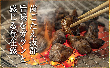 鹿野地鶏モモ・ムネセット_T2600379