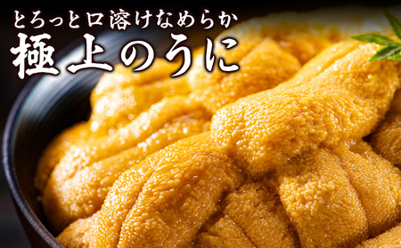 【先行予約】【うにの名産地稚内市】最北端の生むらさきうに(100gパック×2)