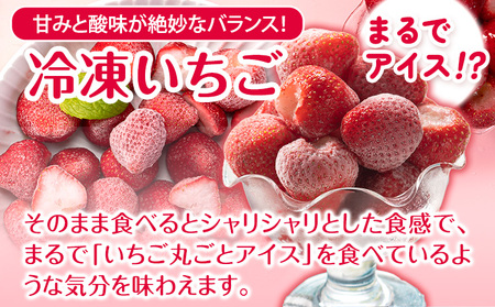 冷凍いちご 約1kg みやざき農園 熊本県 氷川町 いちご イチゴ ひのしずく 国産 冷凍いちご フルーツ ストロベリー 冷凍 お菓子作り 送料無料