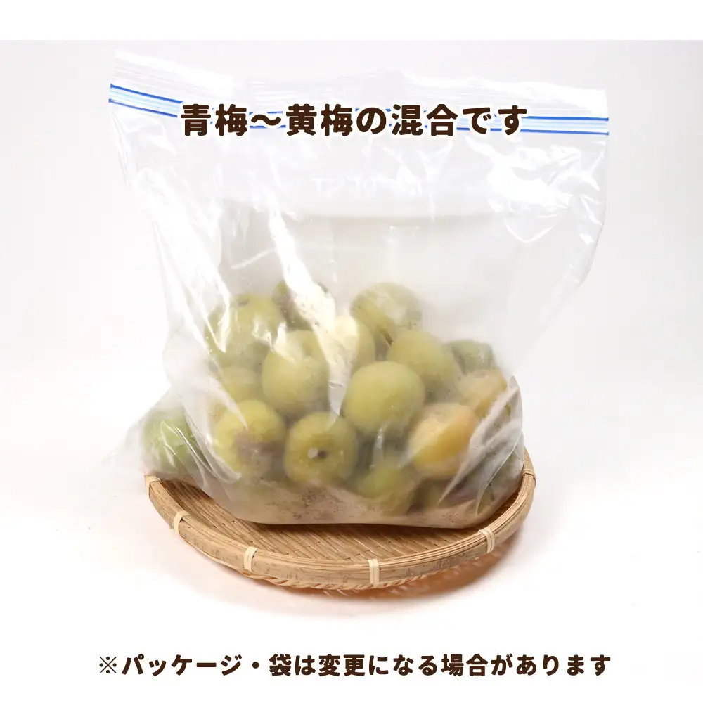家庭用 冷凍梅 約3kg 紀州 南高梅 青梅 黄梅 完熟梅 訳あり