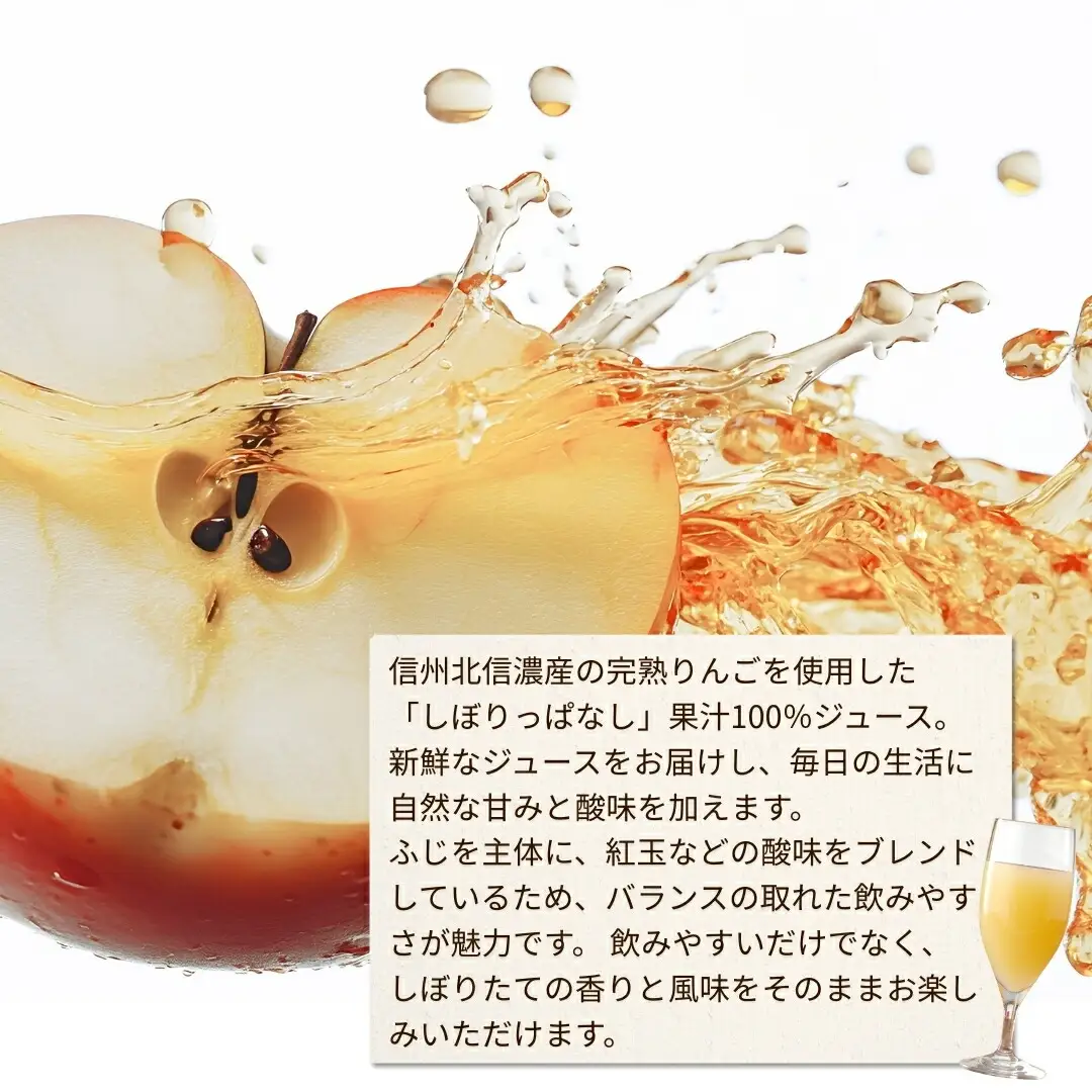 【定期便3ヶ月】信州産 りんごジュース 「しぼりっぱなし」 ストレート果汁100％ (1L×6本)|りんごジュース
