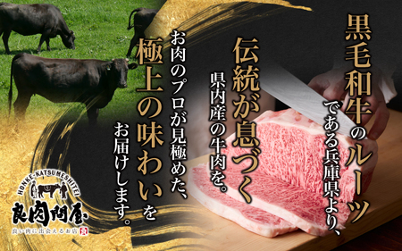 黒毛和牛 サーロインステーキ 400g（200g×2袋） / 黒毛和牛