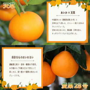あいか＆天草ブレンド 果汁100％ ジュース 720ml×6本 | 愛果28号 紅まどんな と同品種 果汁100% 無添加 ストレートジュース 数量選択可 みかんジュース 果汁100% みかんジュース ストレート 100% ジュース 柑橘 果汁飲料 みかんジュース NPO法人農音 愛媛県 松山市 中島【NO108】