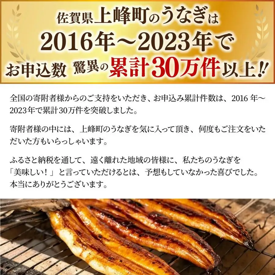 国産うなぎ蒲焼 2尾 計400g うなぎ