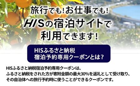 HISふるさと納税宿泊予約専用クーポン（静岡県浜松市）3,000円分