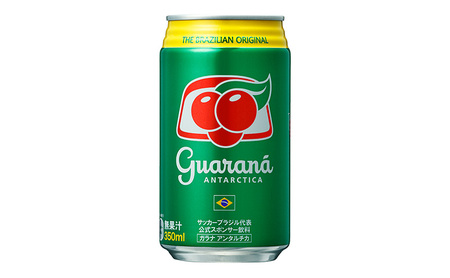 ガラナ アンタルチカ 350ml×24本 炭酸飲料 ガラナ