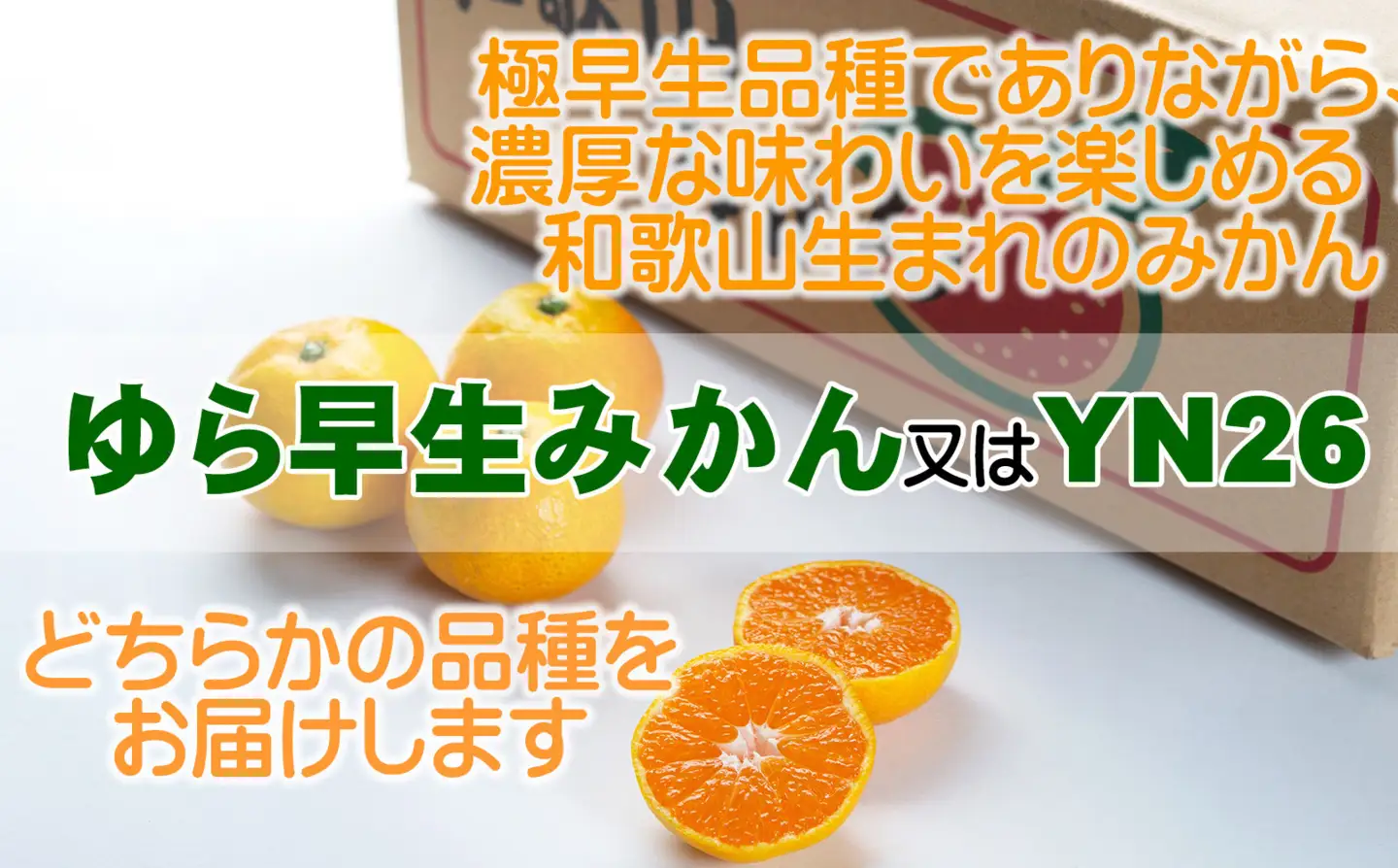 ゆら早生みかん 3kg 2S・3Sサイズ 和歌山県海南市鈴木農園から直送 ゆら早生みかん YN26