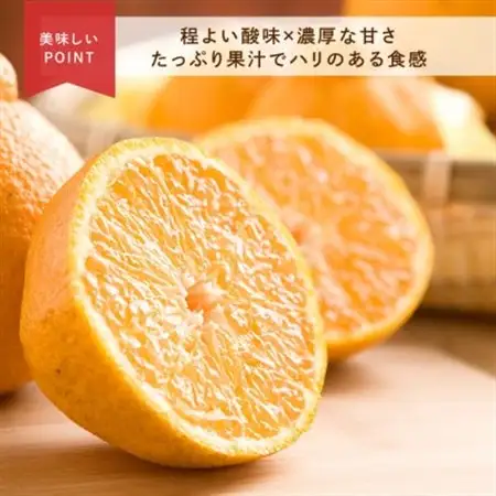 先行受付　不知火　希少な樹上完熟!　秀品大玉　6個入【1616657】