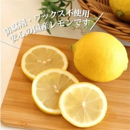 【ノーワックス】国産 紀州 レモン 約5kg(サイズおまかせ)【配送不可地域：離島】【1617431】
