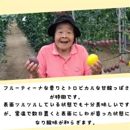 【2026年5月から順次発送】国頭村産パッションフルーツ1kg(10～12玉)【1616926】