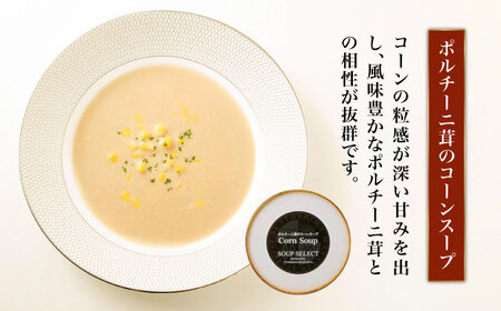 【全3回定期便】SoupSelect 2点セット 糸島市 / 糸島正キ スープ レトルト [AQA071]