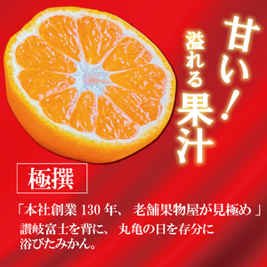 極撰 温州みかん 約10kg 【2026年11月上旬より順次発送】