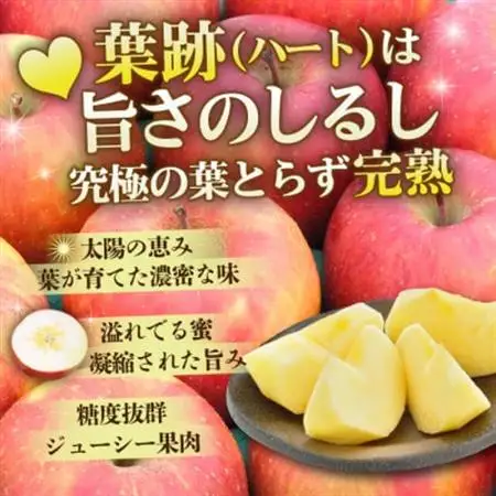 【26年11月から順次発送】平均糖度13度以上! 葉とらずサンふじ 約10kg おもてなし用_果物・フルーツ りんご  リンゴ 林檎_【配送不可地域：沖縄県】【1611289】