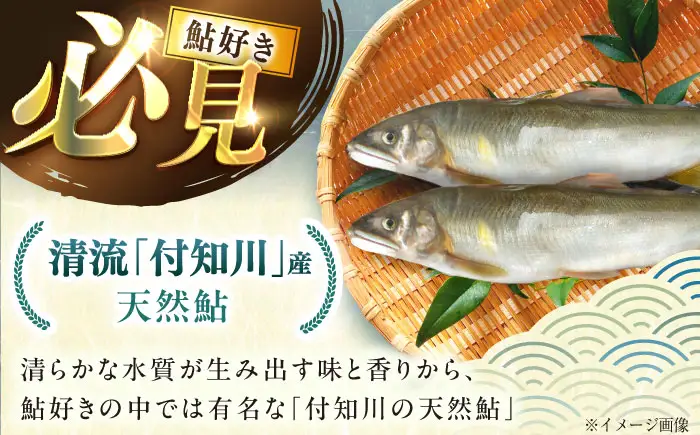 天然あゆ 18-20cm 10匹 / 恵那市 / 恵那物産館 [AUFS008]