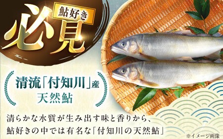 天然あゆ 18-20cm 5匹 / 恵那市 / 恵那物産館 [AUFS009]