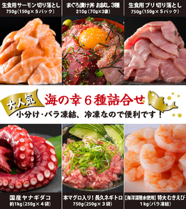 漁師町 尾鷲 からお届け！ 海の幸 大容量便 人気 6種 詰合せ ＜限定500セット＞ 大容量 小分け 冷凍 バラ凍結 たっぷり ストック 便利 新鮮 鮮魚 さけ しゃけ 鮭 サーモン アトランティックサーモン ぶり ブリ 鰤 たこ タコ 蛸 えび エビ 海老 バナメイエビ まぐろ マグロ 鮪 本マグロ ネギトロ ねぎとろ 漬け丼 三重県 尾鷲市 OW-10