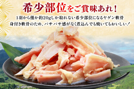 鶏肉 定期便 軟骨 若鶏 鶏軟骨 1kg 2p 6回 総計12kg [ミヤケイフード 宮崎県 美郷町 31bp0003]
