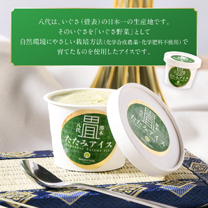たたみアイス 12個入 いぐさ 畳 スイーツ いぐさミルク味 玄米味 食用いぐさ 和風アイス デザート おやつ ジャージー牛乳使用