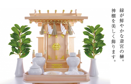 神棚用 榊  1対（2束）約25cm 神棚 さかき お供え 生花 本榊 サカキ 仏花 神具 国産 斎宮の榊