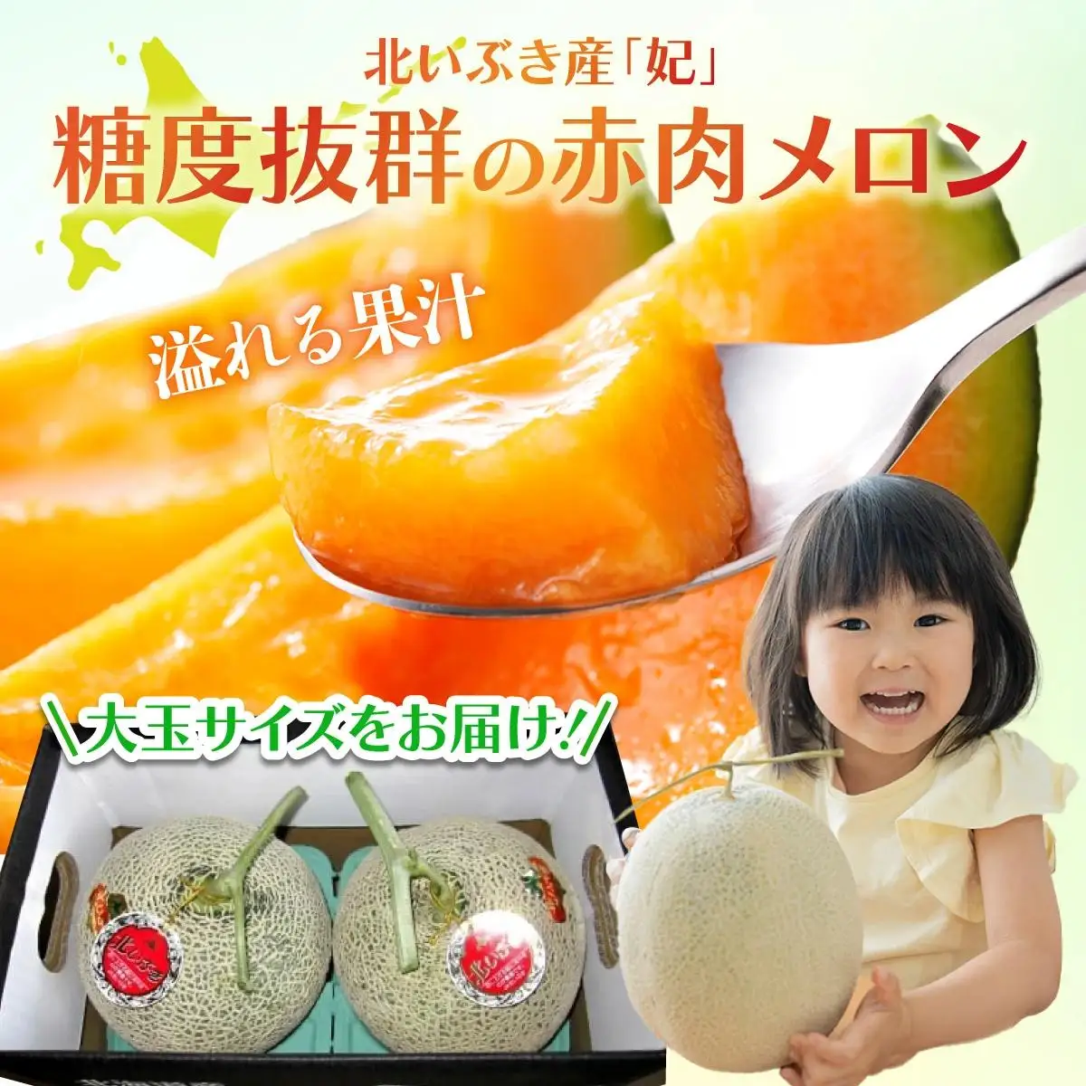 北海道産 赤肉メロン 2玉 約4kg