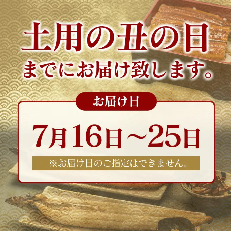 【土用の丑の日】ダブルうなぎ飯セット 320g×2食 中村商店