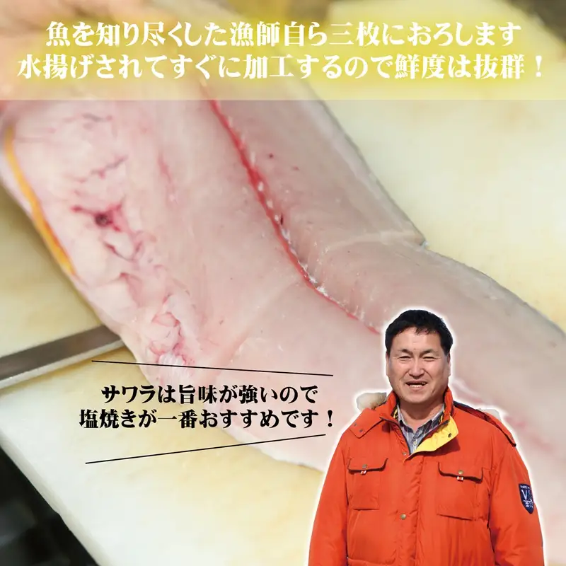 さわら 片身 1kg