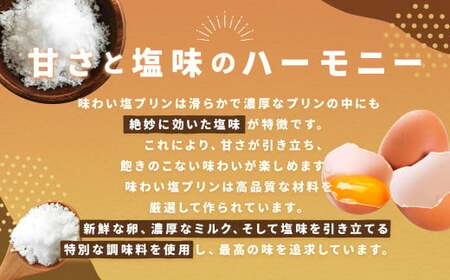 【浜んまちPUDDING】 五島の海のめぐみの味わい塩プリン 80g×12個セット ／ プリン スイーツ デザート セット 手土産 ソルト 長崎県 長崎市