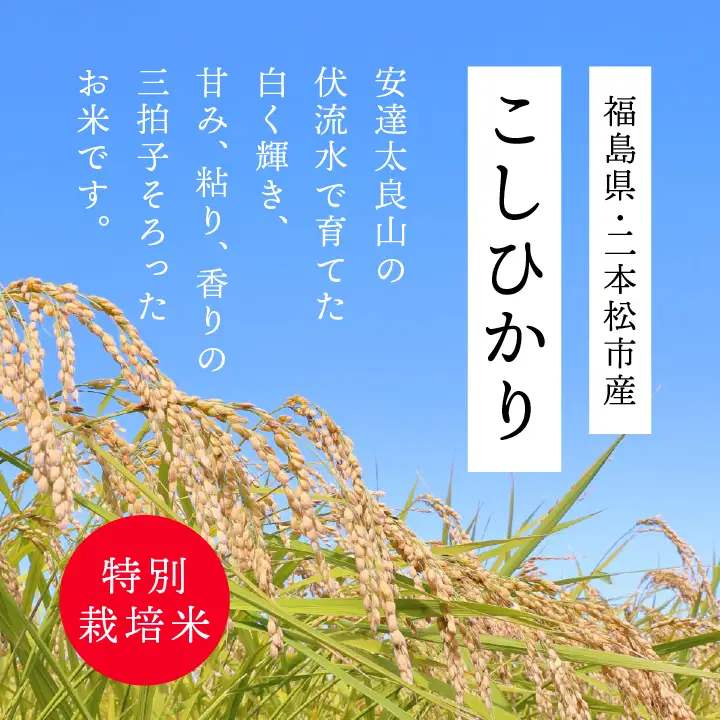 米 令和7年産 こしひかり10kg【株式会社あだたら米】